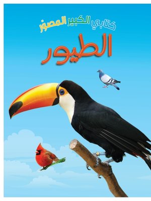 cover image of كتابي الكبير المصور : الطيور